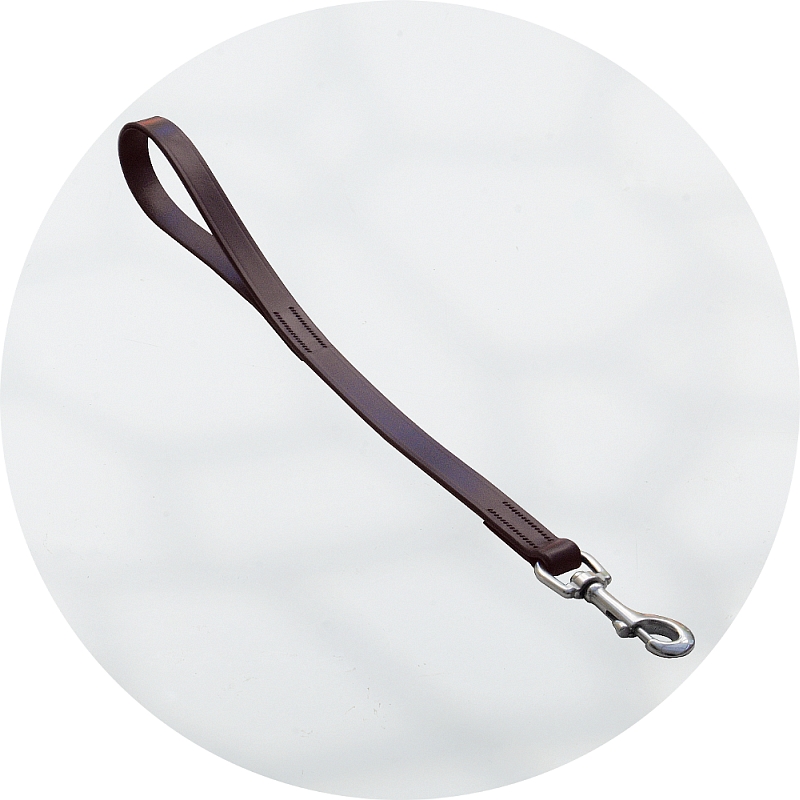 Bridle leather best sale dog leash